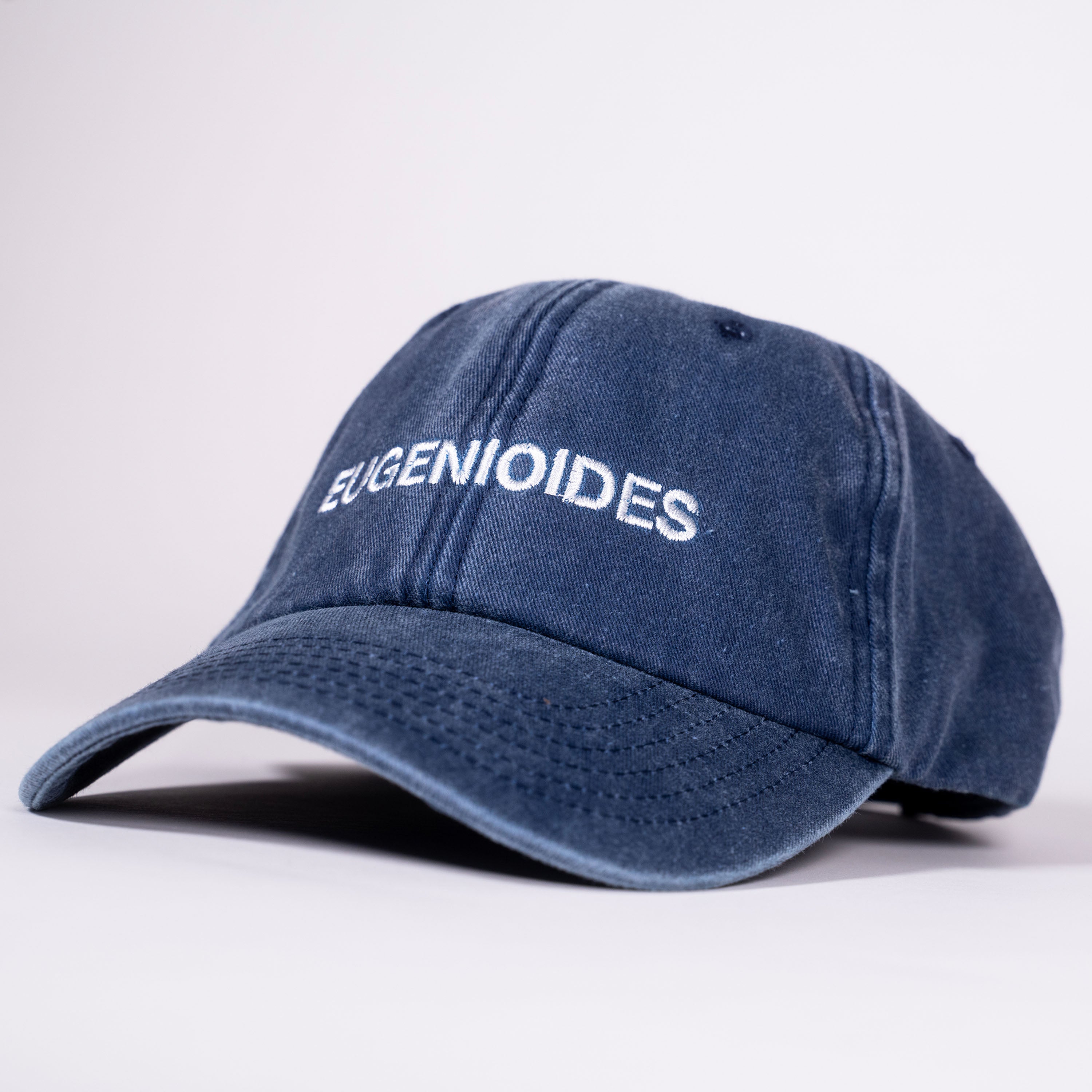 Eugenioides (Washed Navy) Varietal 6 Panel Cap