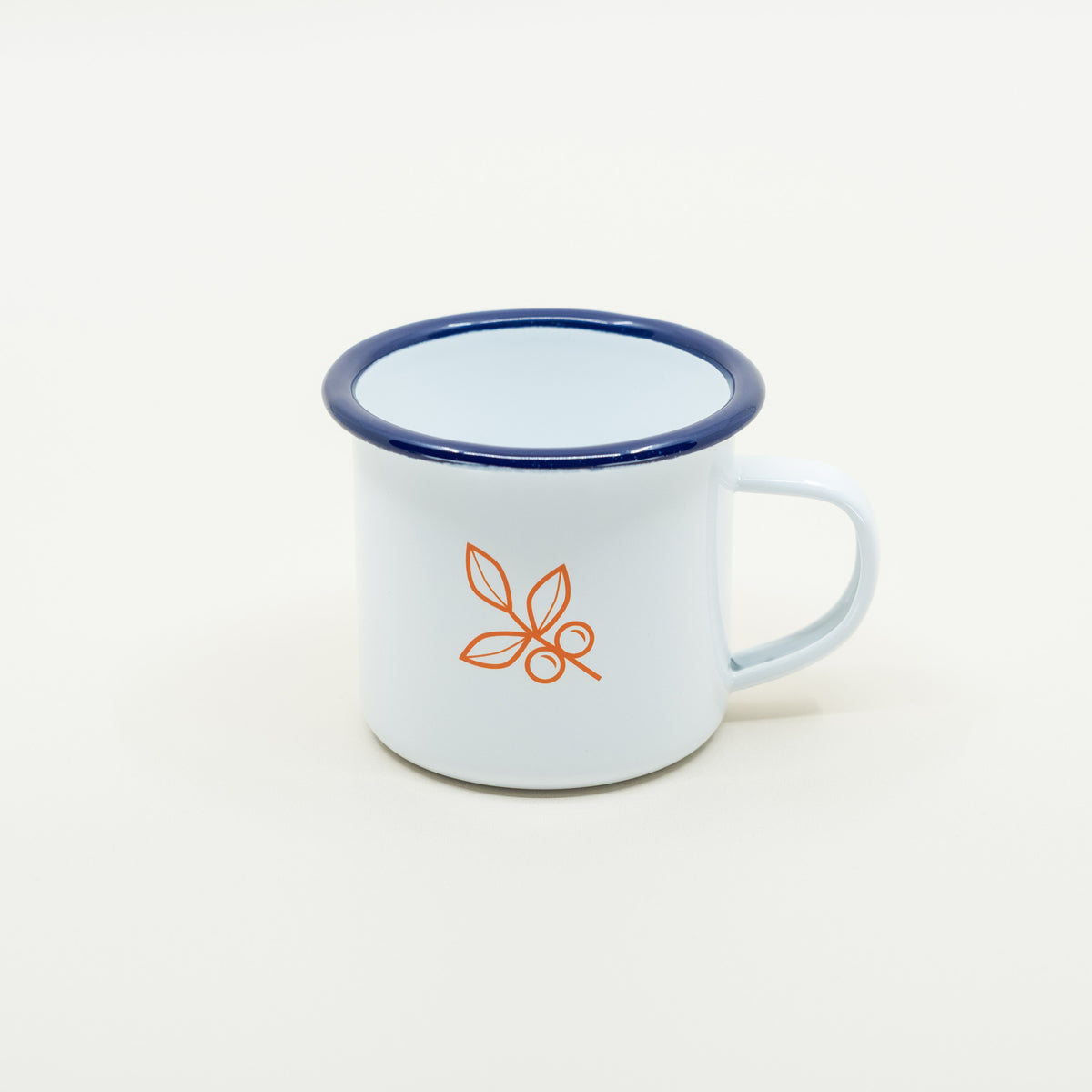 Cairngorm Enamel Mug
