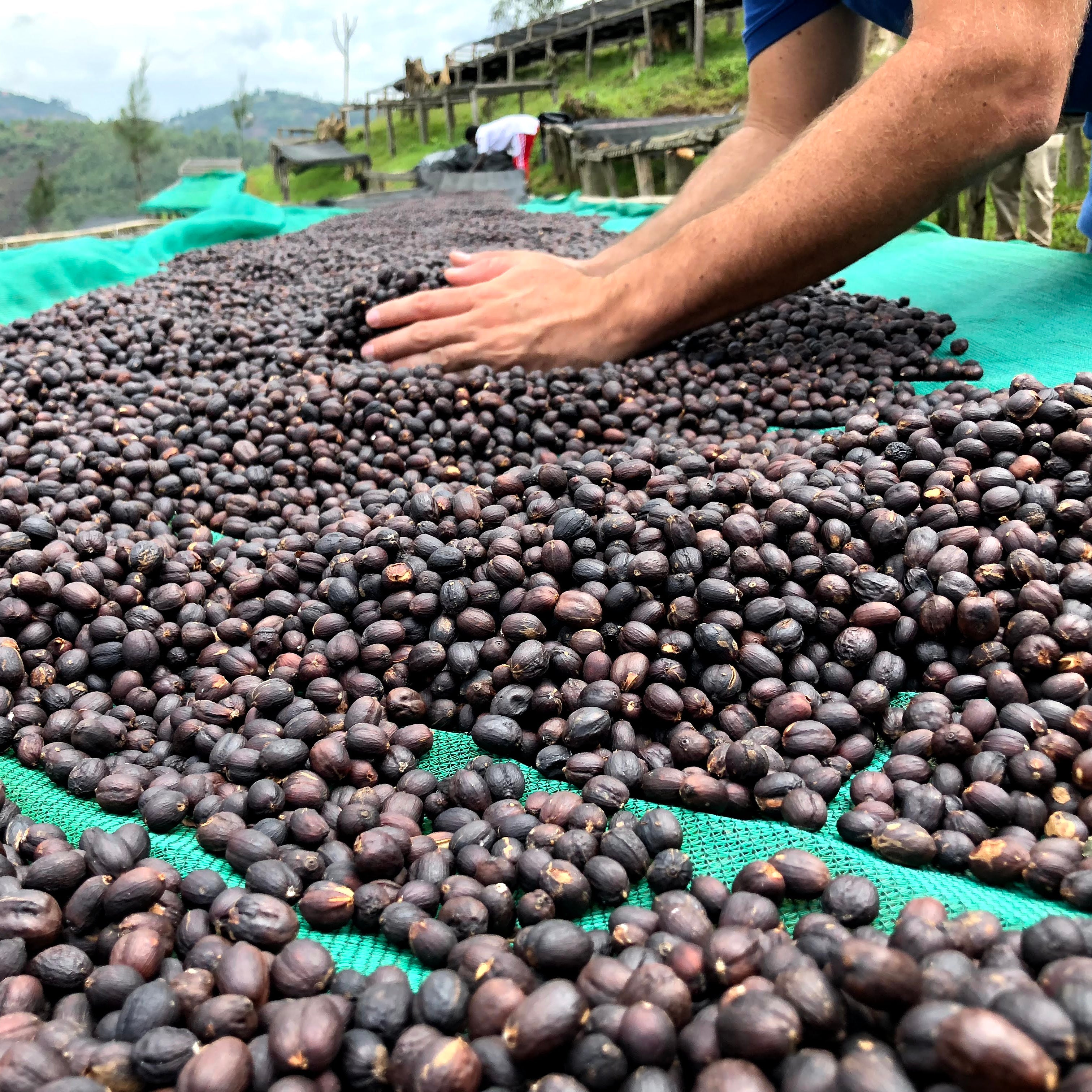 Kilimbi - Natural, Rwanda