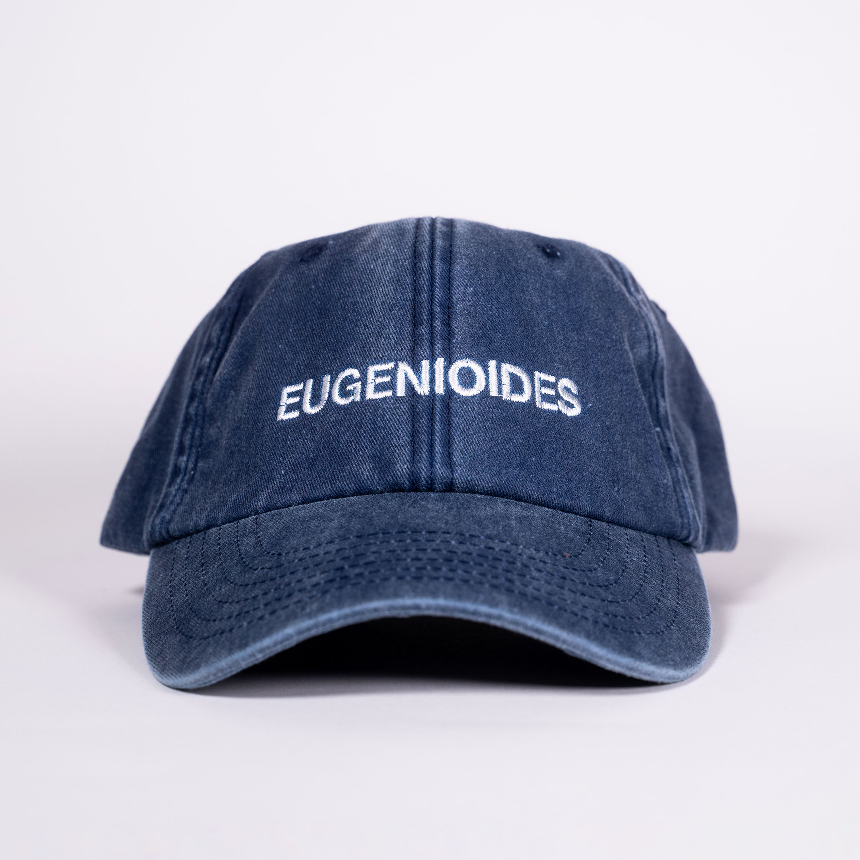 Eugenioides (Washed Navy) Varietal 6 Panel Cap