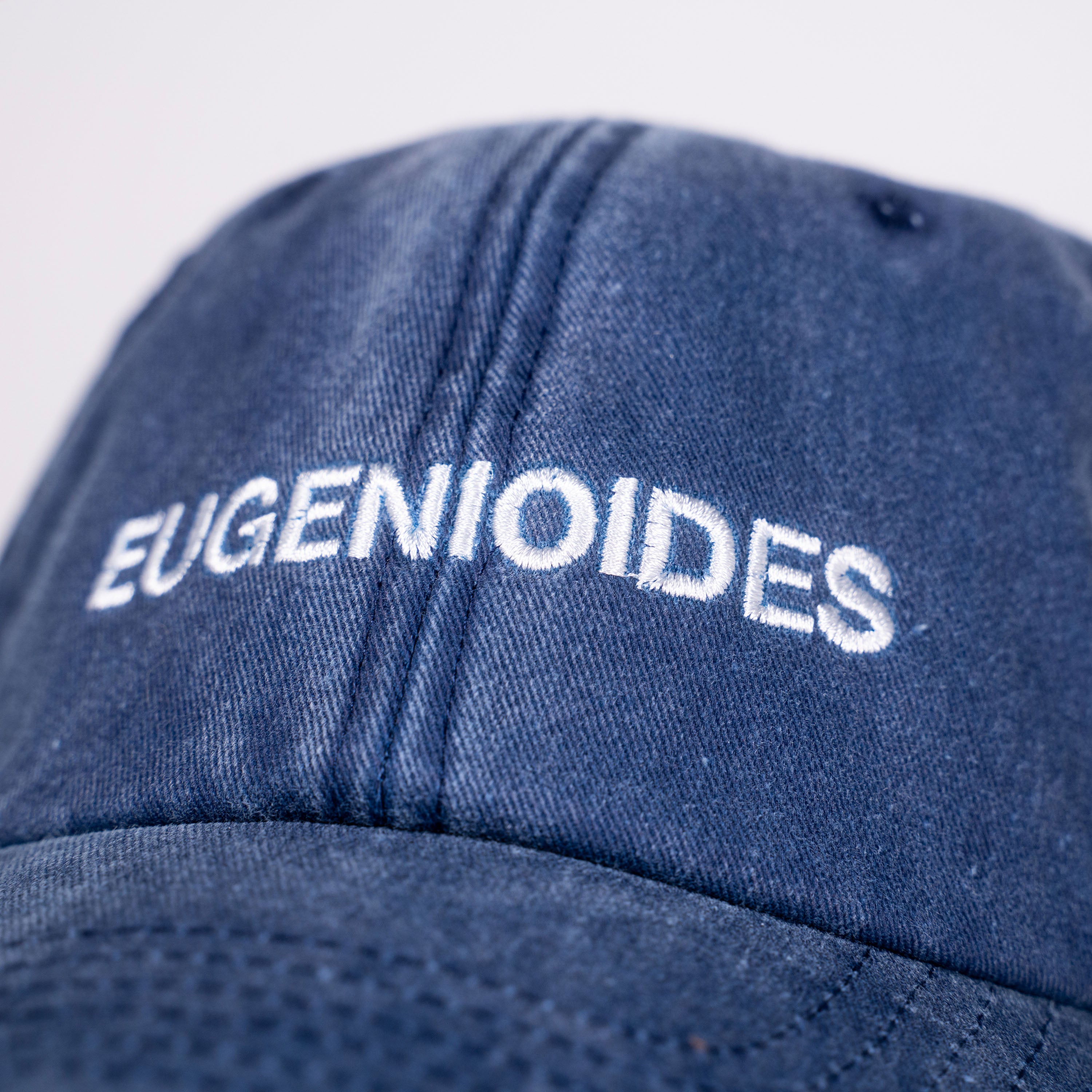 Eugenioides (Washed Navy) Varietal 6 Panel Cap