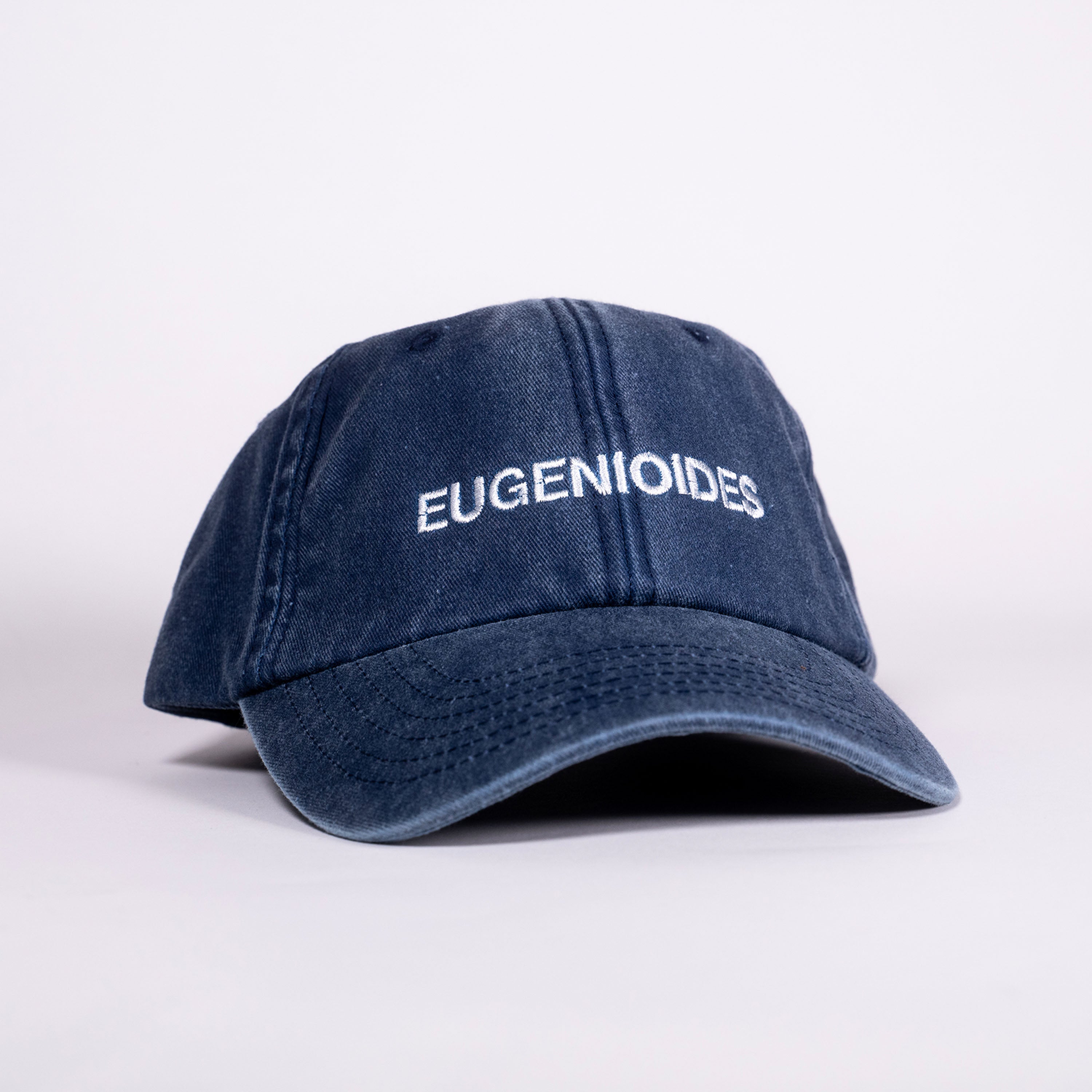 Eugenioides (Washed Navy) Varietal 6 Panel Cap