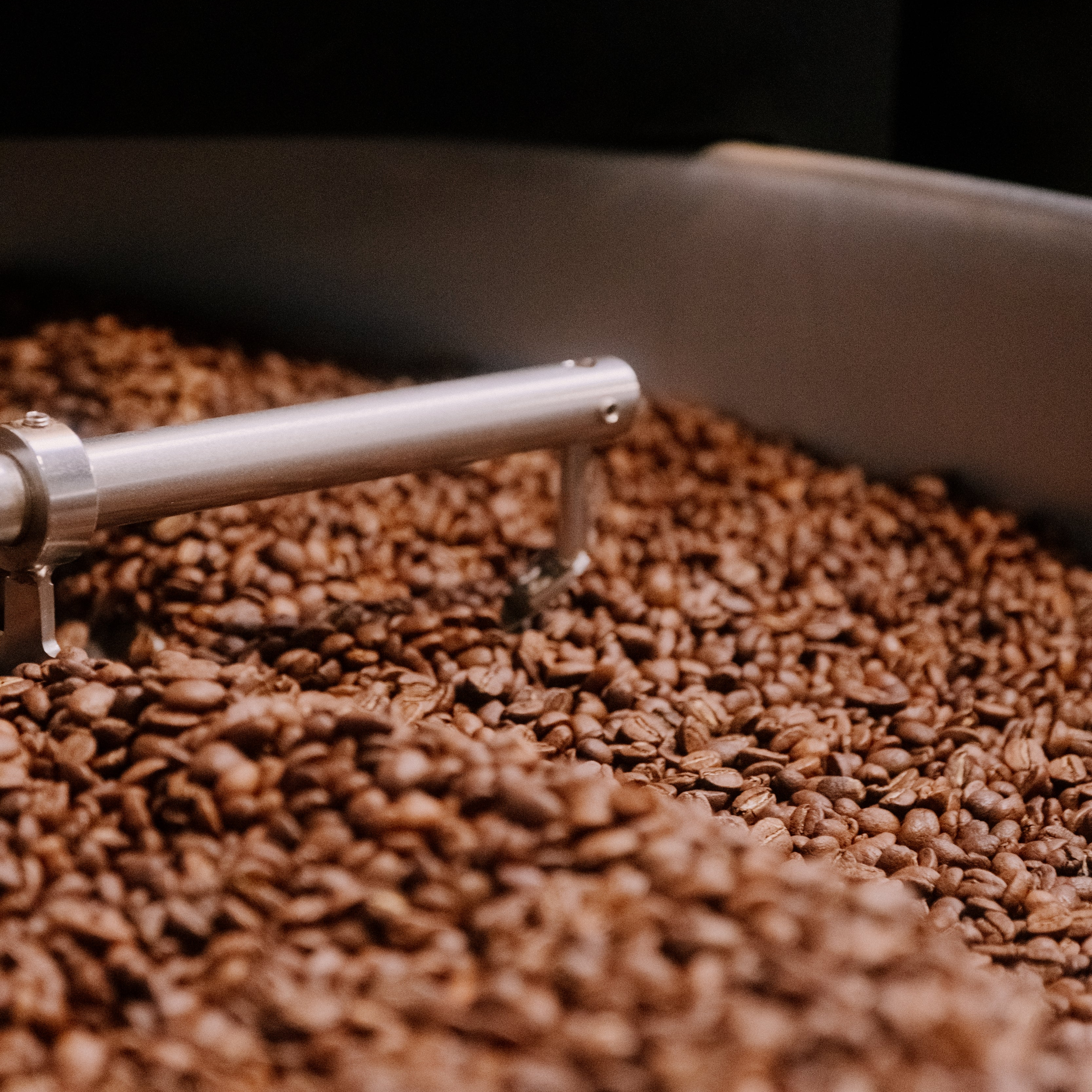 Close-up of roasted coffee beans in a roasting machine.