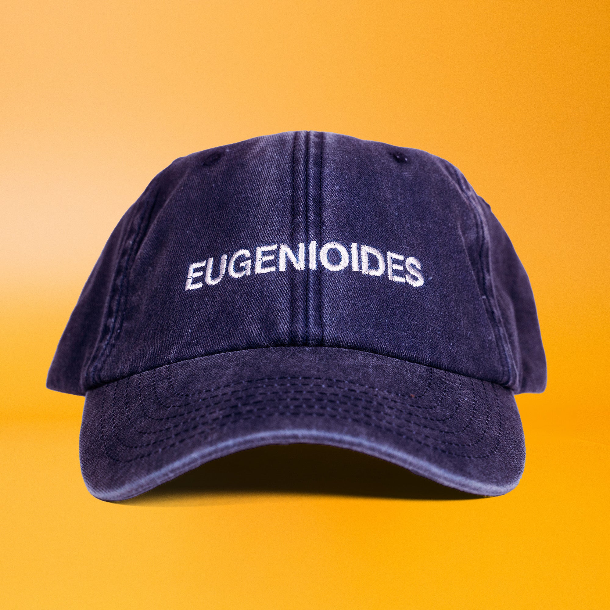 Eugenioides (Washed Navy) Varietal 6 Panel Cap