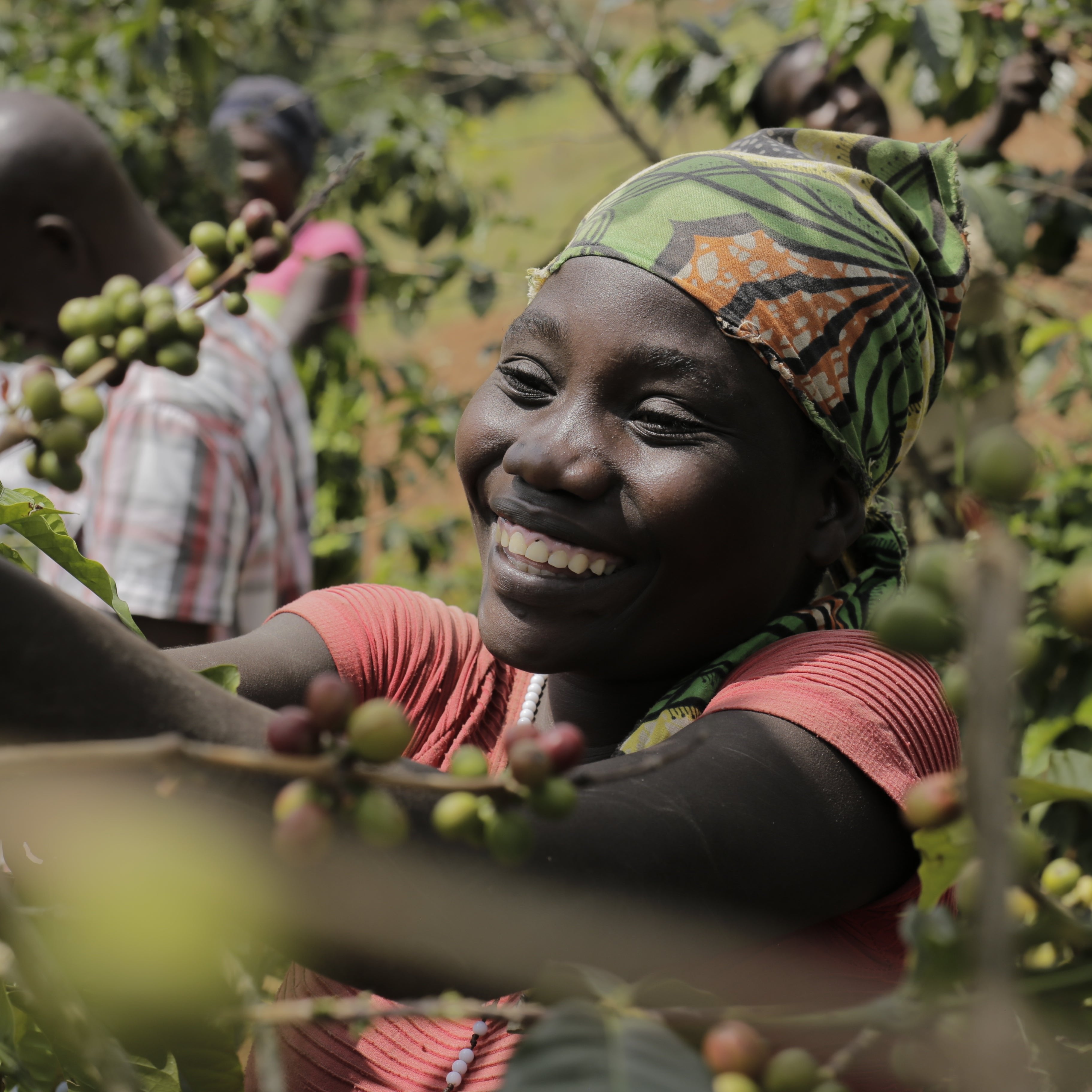 Murambi Hill - Burundi