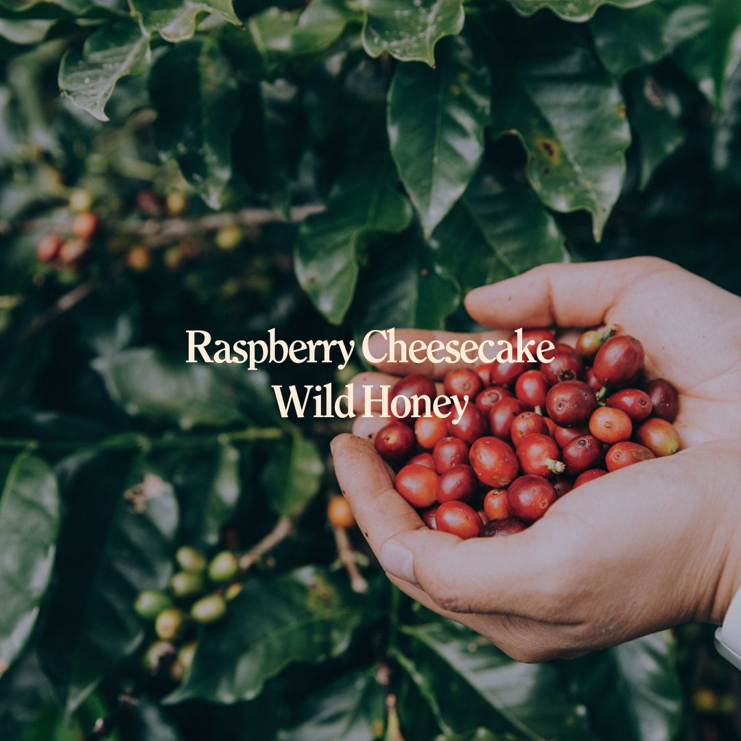 Starcrossed Lovers - Valentine's Banger