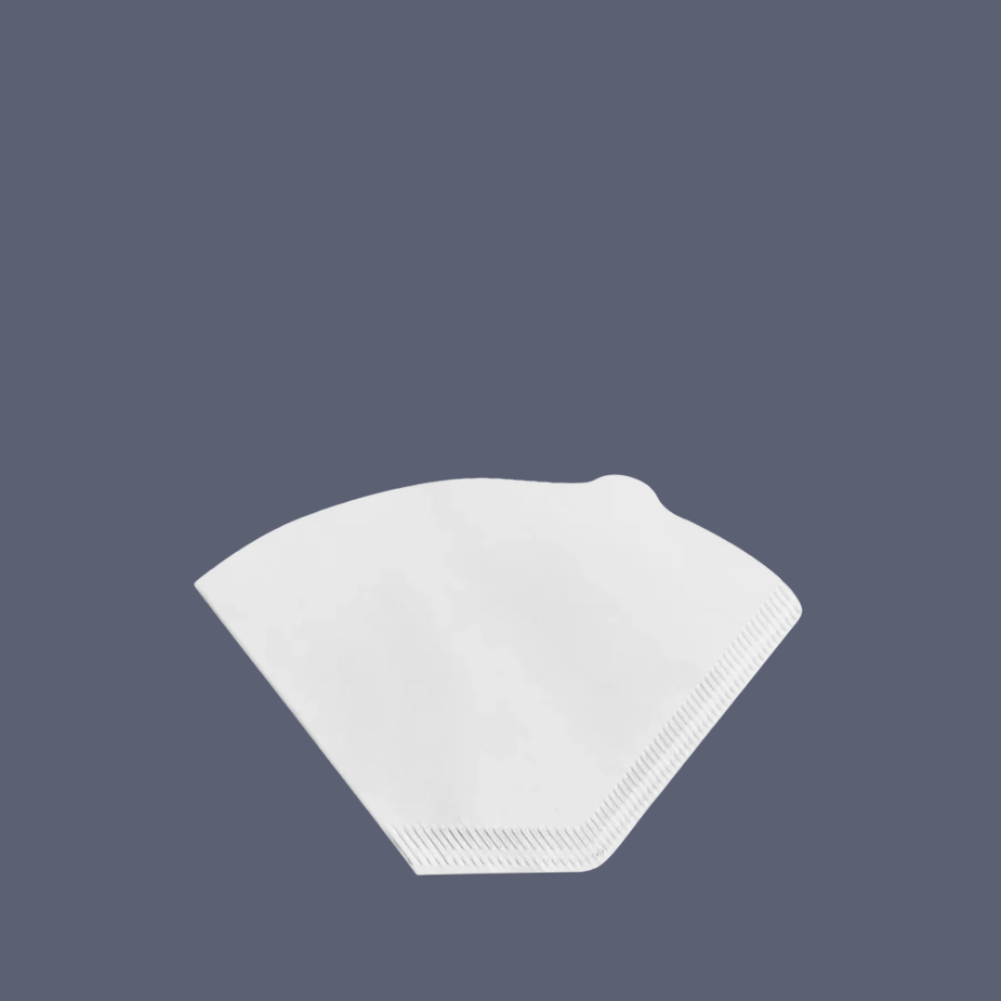 Fellow Aiden Filter Papers