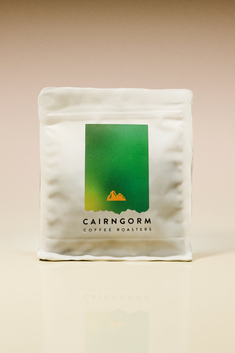 Primavera Sisterhood